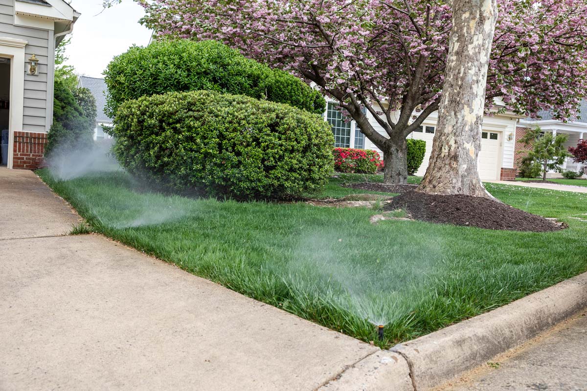 Irrigation Townsville